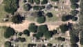 Aerial imagery shows new graves appearing at Rookwood cemetery between 2025 and 2026 - Nearmap