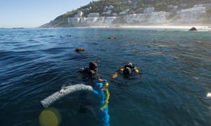 Underwater archaeology researchers at the site of the São José slave shipwreck near the Cape of Good Hope in South Africa.