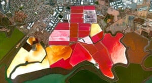 San Francisco salt ponds