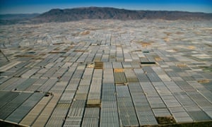 Greenhouses in Spain