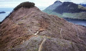 British Columbia Clear-cut: 