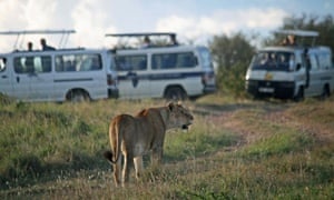 تراجع أعداد السياح في شرق وجنوب أفريقيا يهدد الحياة البرية