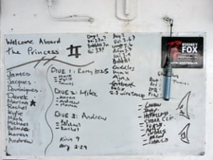 Known sharks are listed on the whiteboard on the Rodney Fox boat.