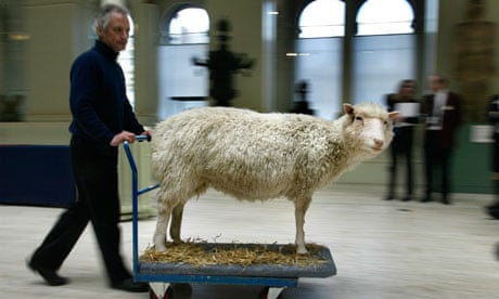dolly the sheep