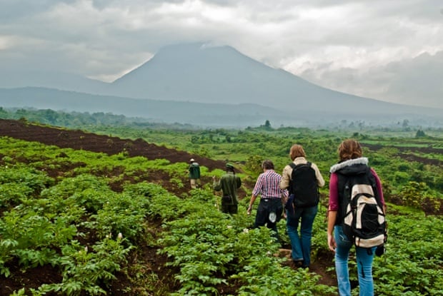 Tourists head towards Mikeno Mountain where gorilla treks begin.