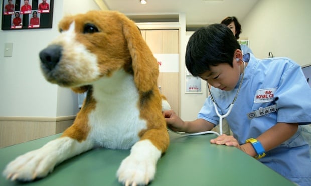 Barking mad: a young vet examines a dog doll.