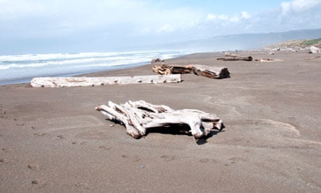 Manchester Beach State Park, California