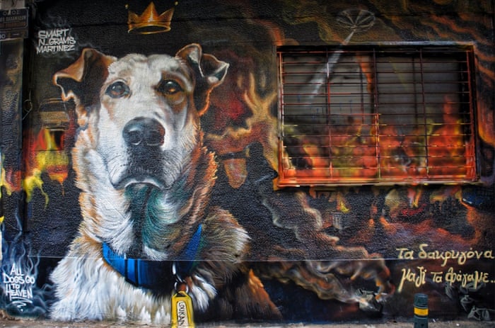 this Greek graffiti artist pays homage to man’s best friend