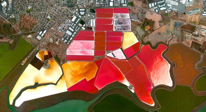 San Francisco salt ponds